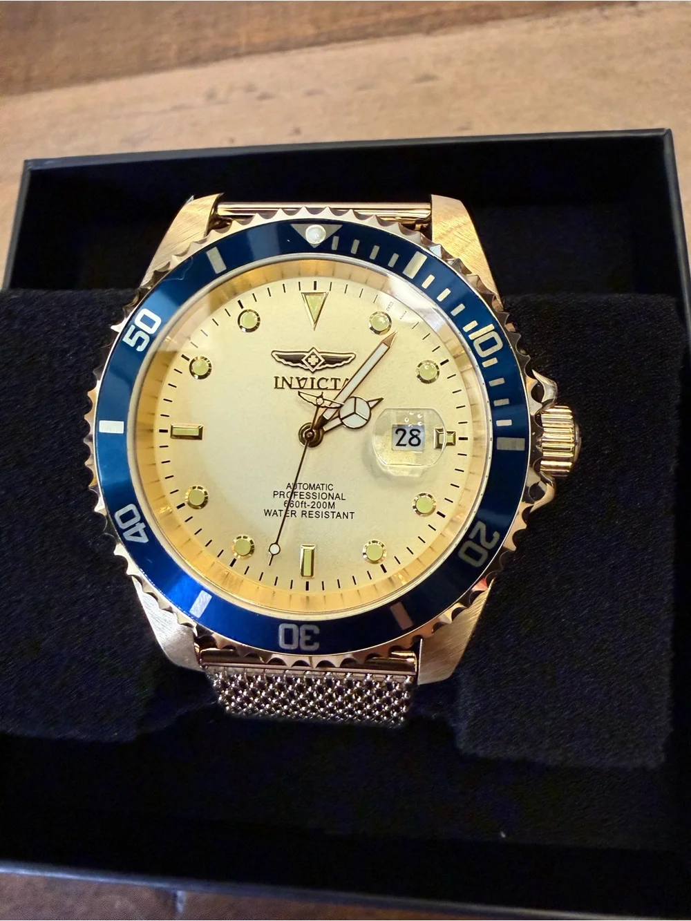 Invicta grand diver